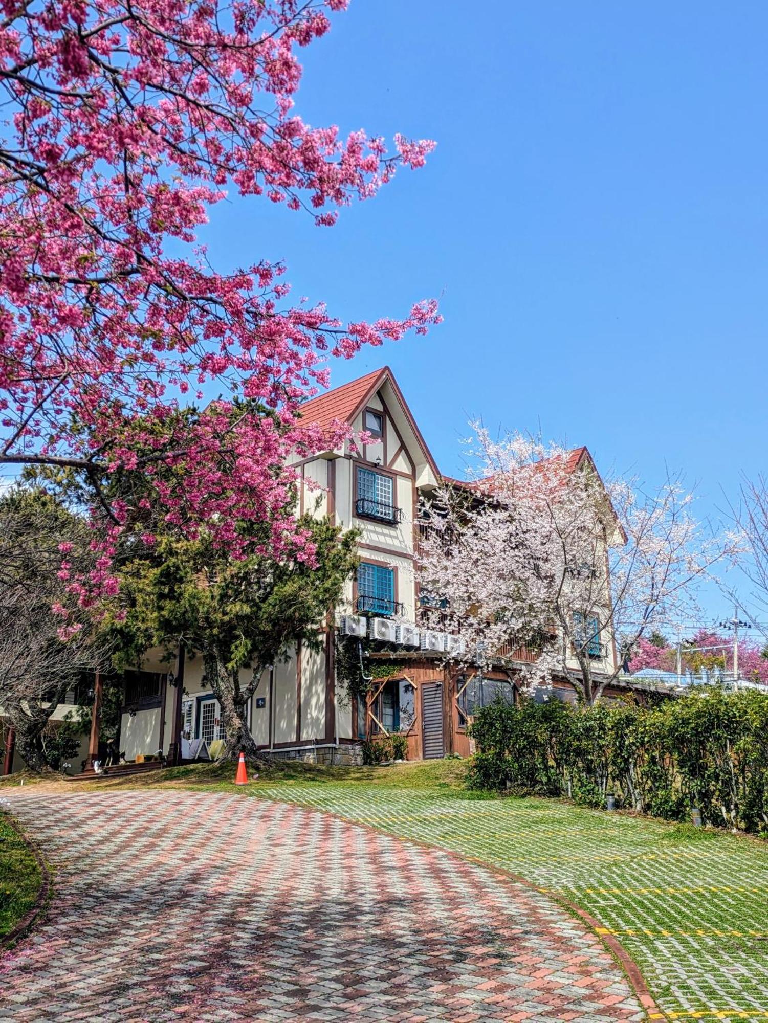 Apartamento 清境 百里莊園 Baili Manor Cing Jing Renai Exterior foto